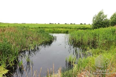 Działka na sprzedaż, Choszczno Gleźno, 30900 m² — HES29336, zdjęcie 4