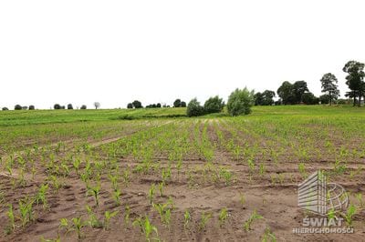 Działka na sprzedaż, Choszczno Gleźno, 30900 m² — HES29336, zdjęcie 5
