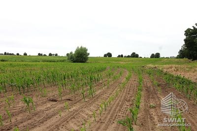 Działka na sprzedaż, Choszczno Gleźno, 30900 m² — HES29336, zdjęcie 6