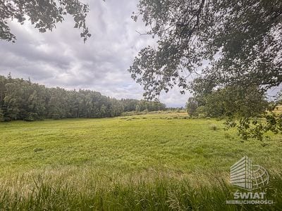 Działka na sprzedaż, Czaplinek Piaseczno, 30010 m² — FKT25236, zdjęcie 3