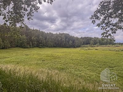 Działka na sprzedaż, Czaplinek Piaseczno, 30010 m² — FKT25236, zdjęcie 4