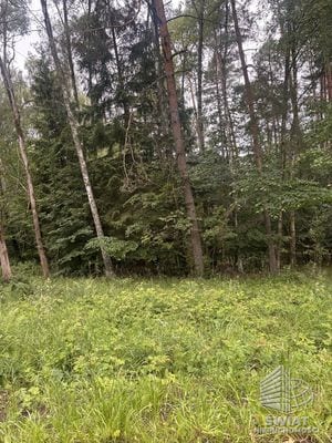 Działka na sprzedaż, Czaplinek Piaseczno, 30010 m² — FKT25236, zdjęcie 5