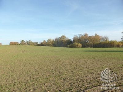 Działka na sprzedaż, Dobra (szczecińska) Buk, 803 m² — GAN21942, zdjęcie 1