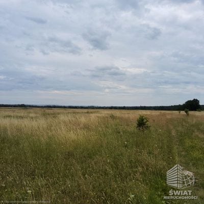 Działka na sprzedaż, Dobra (szczecińska) Buk, 803 m² — GAN21942, zdjęcie 3