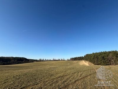 Działka na sprzedaż, Dobra (szczecińska) Buk, 1622 m² — ROY04641, zdjęcie 1