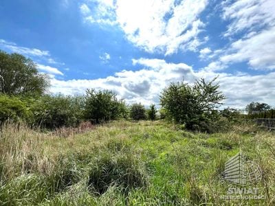 Działka na sprzedaż, Dobra (szczecińska) Dołuje, 4446 m² — ROY03505, zdjęcie 4