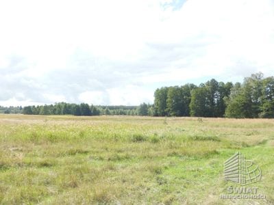 Działka na sprzedaż, Dobra (szczecińska) Grzepnica, 14000 m² — GAN20876, zdjęcie 3