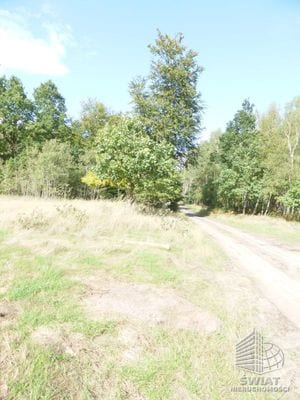 Działka na sprzedaż, Dobra (szczecińska) Grzepnica, 14000 m² — GAN20876, zdjęcie 5