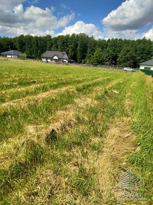 Działka na sprzedaż, Dobra (szczecińska) Grzepnica, 3179 m² — INW33399, zdjęcie 3