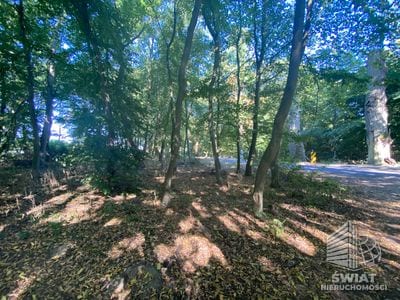Działka na sprzedaż, Dobra (szczecińska) Kościno, 3066 m² — SCN22515, zdjęcie 4