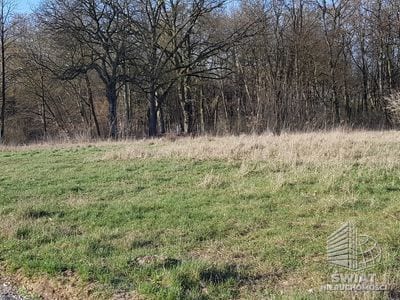 Działka na sprzedaż, Dobra (szczecińska) Kościno, 1079 m² — SCN22999, zdjęcie 6