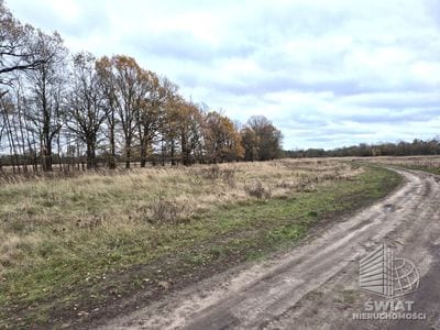 Działka na sprzedaż, Dobra (szczecińska) Łęgi, 3060 m² — CIT25059, zdjęcie 1