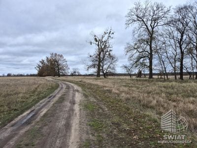 Działka na sprzedaż, Dobra (szczecińska) Łęgi, 3060 m² — CIT25059, zdjęcie 2