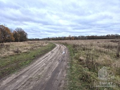 Działka na sprzedaż, Dobra (szczecińska) Łęgi, 3060 m² — CIT25059, zdjęcie 3