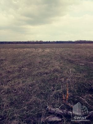 Działka na sprzedaż, Dobra (szczecińska) Łęgi, 3219 m² — INW29285, zdjęcie 2