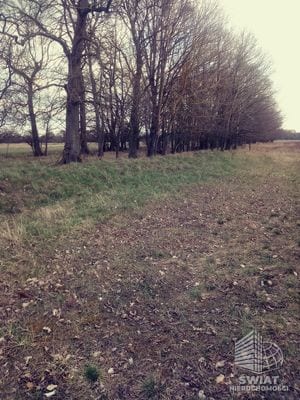 Działka na sprzedaż, Dobra (szczecińska) Łęgi, 3219 m² — INW29285, zdjęcie 3