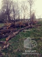 Działka na sprzedaż, Dobra (szczecińska) Łęgi, 3219 m² — INW29285, zdjęcie 5