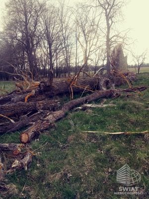 Działka na sprzedaż, Dobra (szczecińska) Łęgi, 3219 m² — INW29285, zdjęcie 5