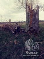 Działka na sprzedaż, Dobra (szczecińska) Łęgi, 3219 m² — INW29285, zdjęcie 6