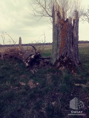 Działka na sprzedaż, Dobra (szczecińska) Łęgi, 3219 m² — INW29285, zdjęcie 6