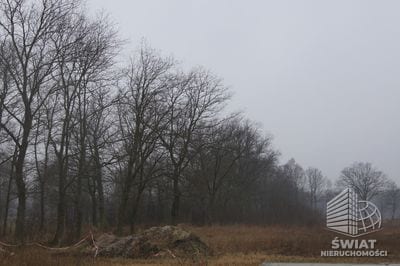 Działka na sprzedaż, Dobra (szczecińska) Rzędziny, 1000 m² — CIE21682, zdjęcie 3