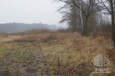Działka na sprzedaż, Dobra (szczecińska) Rzędziny, 1000 m² — CIE21682, zdjęcie 5