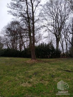 Działka na sprzedaż, Dobra (szczecińska) Rzędziny, 2625 m² — INW30514, zdjęcie 4