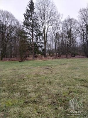 Działka na sprzedaż, Dobra (szczecińska) Rzędziny, 2625 m² — INW30514, zdjęcie 6