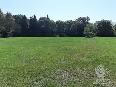 Działka na sprzedaż, Dobra (szczecińska) Rzędziny, 2001 m² — INW30515, zdjęcie 2