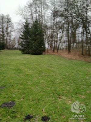 Działka na sprzedaż, Dobra (szczecińska) Rzędziny, 2001 m² — INW30515, zdjęcie 3