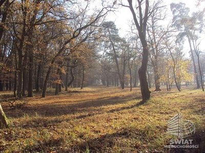 Działka na sprzedaż, Dobra (szczecińska) Rzędziny, 2001 m² — INW30515, zdjęcie 6