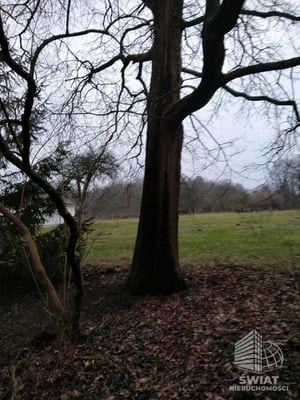 Działka na sprzedaż, Dobra (szczecińska) Rzędziny, 2041 m² — INW30517, zdjęcie 5