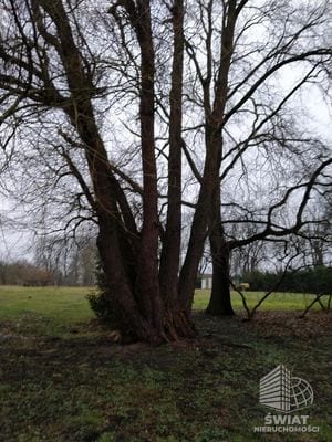 Działka na sprzedaż, Dobra (szczecińska) Rzędziny, 2041 m² — INW30517, zdjęcie 6