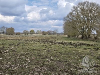 Działka na sprzedaż, Dobra (szczecińska) Rzędziny, 3009 m² — PRM20621, zdjęcie 1