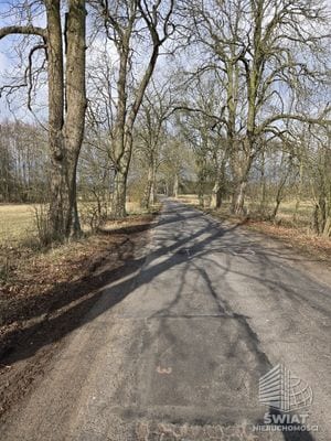 Działka na sprzedaż, Dobra (szczecińska) Rzędziny, 3009 m² — PRM20621, zdjęcie 3