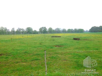 Działka na sprzedaż, Dobra (szczecińska) Rzędziny, 3145 m² — SCN22718, zdjęcie 3