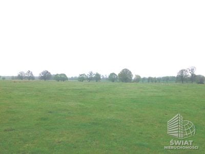 Działka na sprzedaż, Dobra (szczecińska) Rzędziny, 3145 m² — SCN22718, zdjęcie 4
