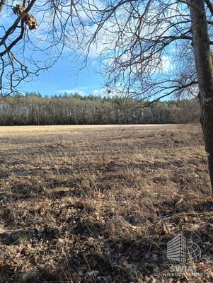 Działka na sprzedaż, Dobra (szczecińska) Rzędziny, 3463 m² — SWN32800, zdjęcie 2