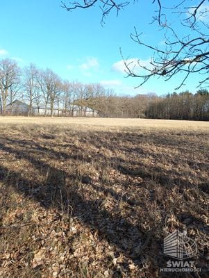 Działka na sprzedaż, Dobra (szczecińska) Rzędziny, 3463 m² — SWN32800, zdjęcie 3