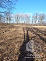 Działka na sprzedaż, Dobra (szczecińska) Rzędziny, 3463 m² — SWN32800, zdjęcie 4