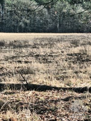 Działka na sprzedaż, Dobra (szczecińska) Rzędziny, 3463 m² — SWN32800, zdjęcie 6