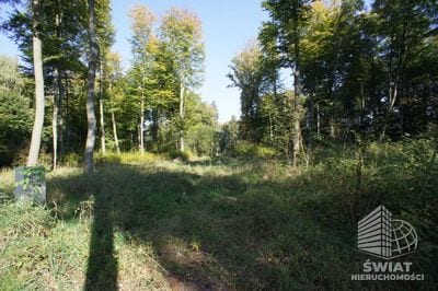 Działka na sprzedaż, Dobra, 701 m² — UBR23306, zdjęcie 2