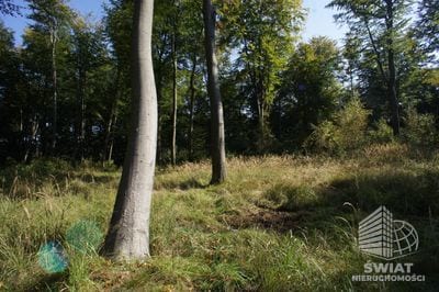 Działka na sprzedaż, Dobra, 701 m² — UBR23306, zdjęcie 3