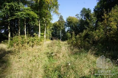 Działka na sprzedaż, Dobra, 701 m² — UBR23306, zdjęcie 4