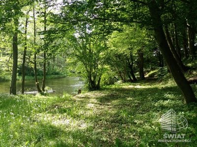 Działka na sprzedaż, Drawno Barnimie, 2010 m² — LGR21780, zdjęcie 2