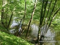 Działka na sprzedaż, Drawno Barnimie, 2010 m² — LGR21780, zdjęcie 5