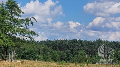 Działka na sprzedaż, Drawno Wiśniewo, 7800 m² — INB20598, zdjęcie 1