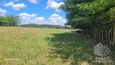 Działka na sprzedaż, Drawno Wiśniewo, 7800 m² — INB20598, zdjęcie 2