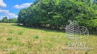 Działka na sprzedaż, Drawno Wiśniewo, 7800 m² — INB20598, zdjęcie 6