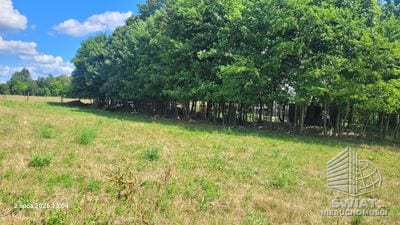 Działka na sprzedaż, Drawno Wiśniewo, 7800 m² — INB20598, zdjęcie 6